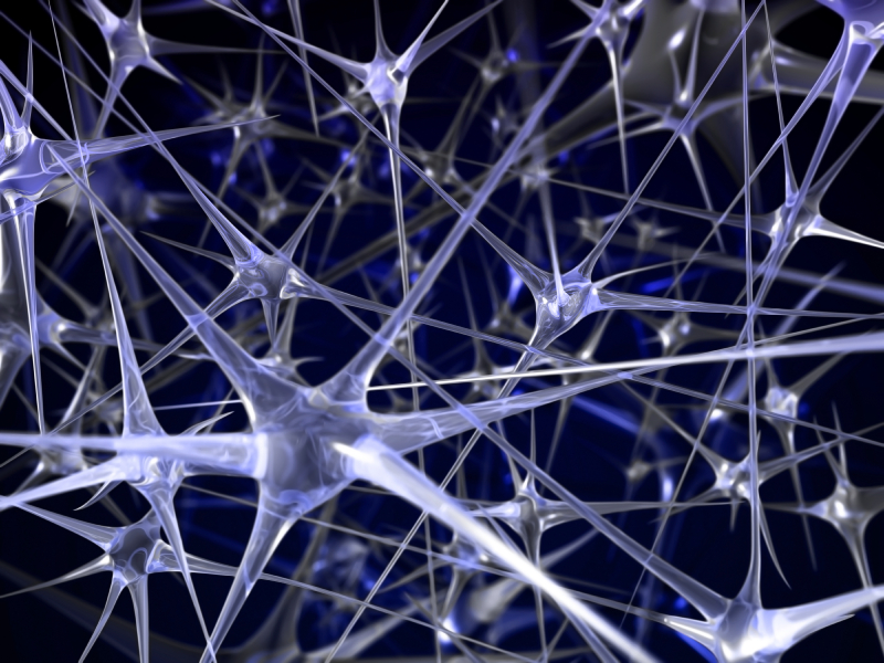 Neural network